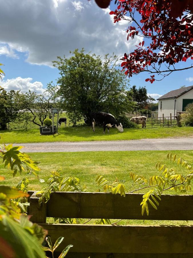 Holiday home The Wee Hoose